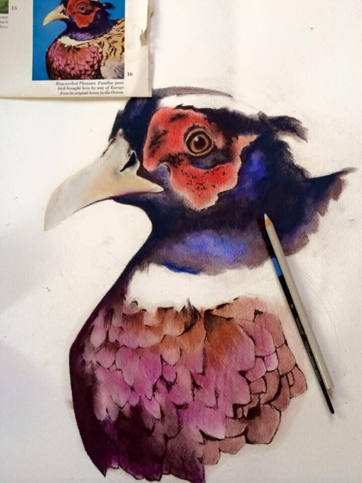 Colored pencil bird